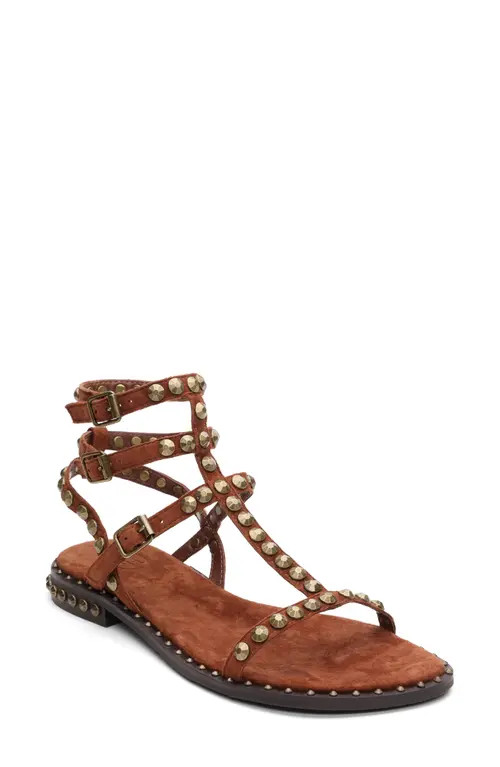 Ash Play 2 Gladiator Sandal in Tajine at Nordstrom, Size 36 | Nordstrom