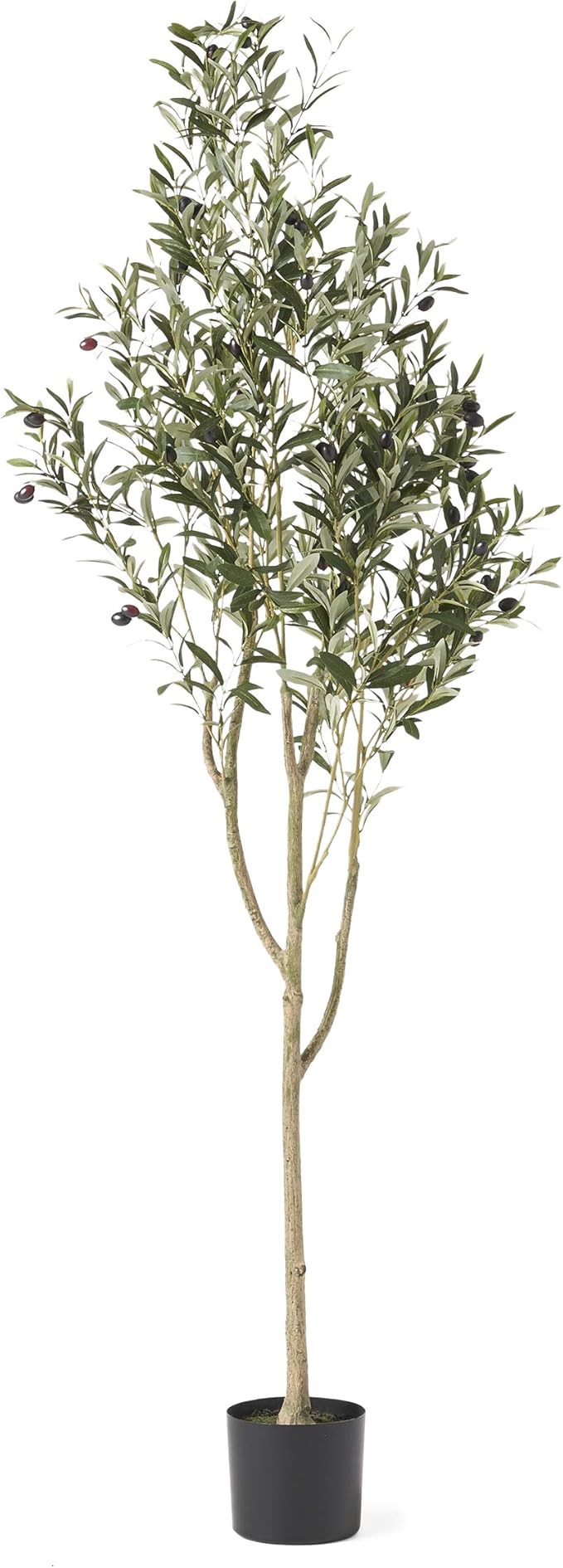 Christopher Knight Home 313747 Artificial Plants, 6' x 2', Green | Amazon (US)