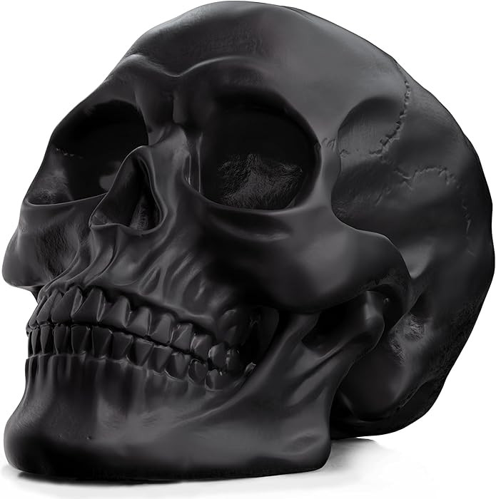 READAEER Resin Skull, Human Head Model for Home Decoration, Halloween Statue, Skull Model for Boo... | Amazon (US)