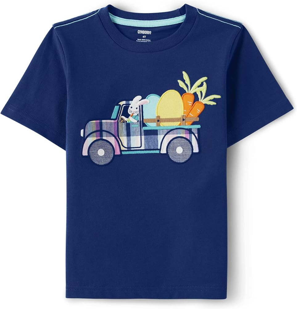 Gymboree Boys' and Toddler Spring and Summer Embroidered Graphic Short Sleeve T-Shirts | Amazon (US)