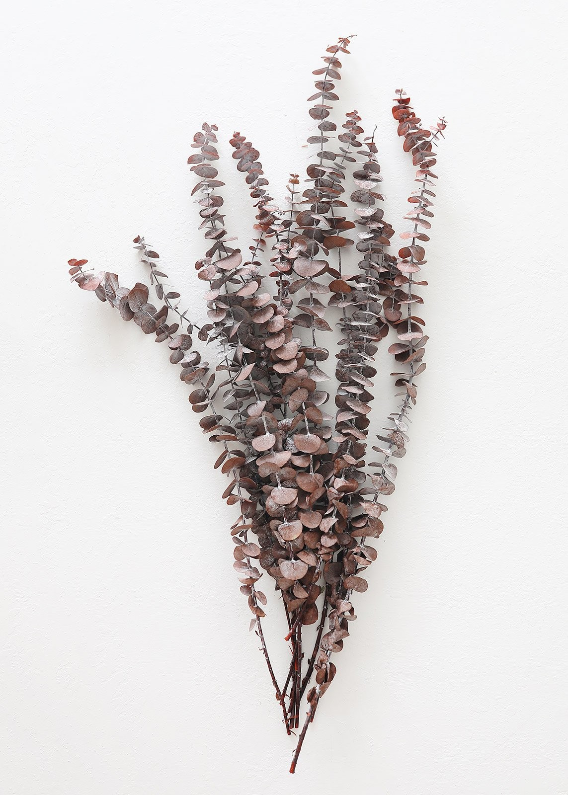 Preserved Frosted Spiral Eucalyptus in Terracotta Brown - 20-28" Tall | Afloral (US)