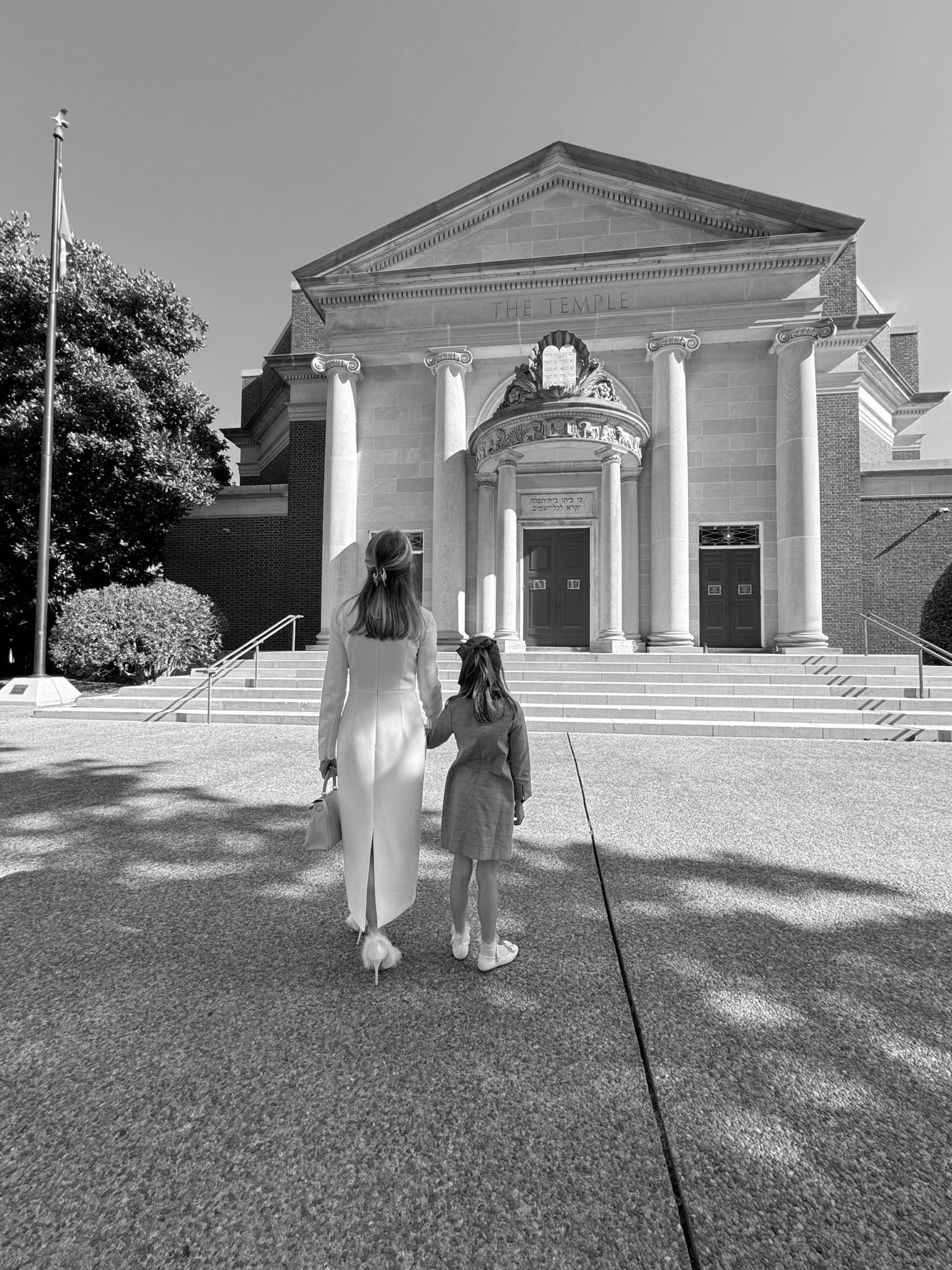 The perfect occasion dress. 