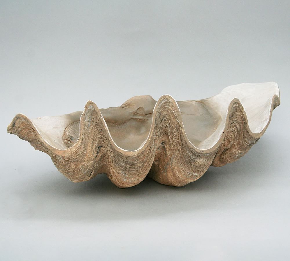 Fossilized Clam Decorative Object | Pottery Barn (US)