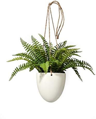 Serene Spaces Living Small Boston Fern in Hanging Pot, Fake Hanging Plant, Life Like Plants for I... | Amazon (US)