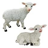 Design Toscano Yorkshire Lamb Garden Farm Animal Statues, 15 Inch, Set of Two Standing and Sittin... | Amazon (US)