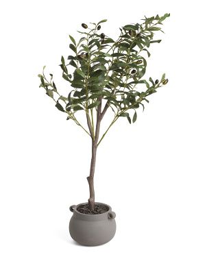 3ft Olive Tree In Stone Handle Pot | TJ Maxx