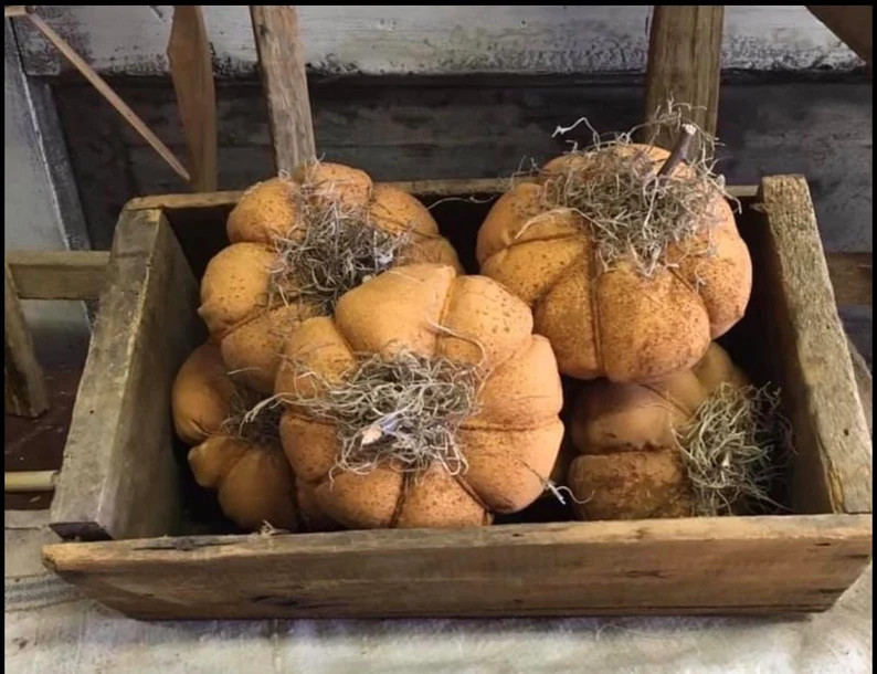 6 Primitive Fall Pumpkins - Etsy | Etsy (US)