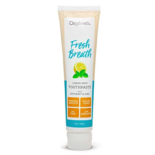 Oxyfresh Maximum Fresh Breath Lemon Mint Toothpaste - Clean Teeth & Fresh Breath - Natural Essential Oils & Natural Xylitol to Help Fight Tartar - SLS & Fluoride Free - 5 oz | Amazon (US)