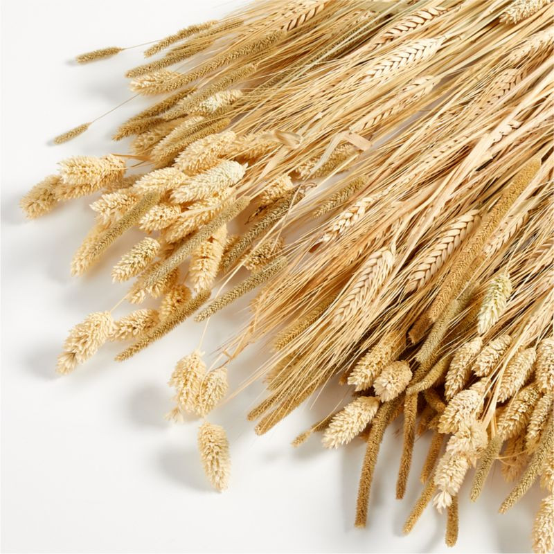 Dried Fall Harvest Bunch + Reviews | Crate and Barrel | Crate & Barrel