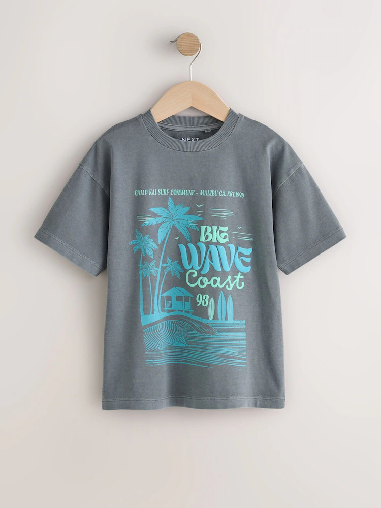 Charcoal Grey Washed Short Sleeve Graphic T-Shirt (3-16yrs) | Next US