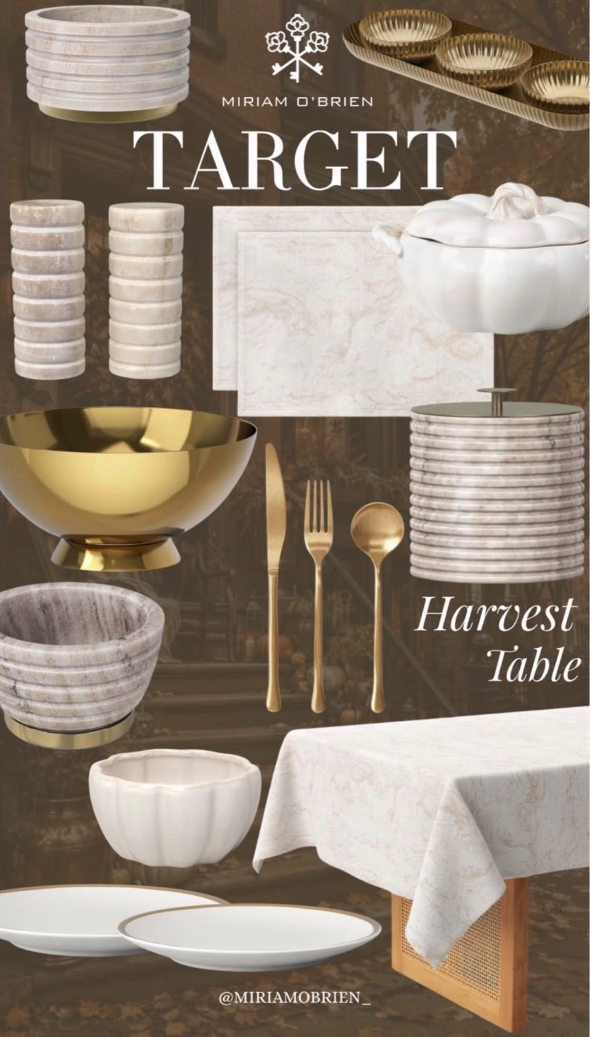 Hosting Home Decor @ Target

Follow me @miriamobrien on IG and 
TikTok 

#Hosting #Target #Harvest #Tablesetup

#LTKHome #LTKOver40 #LTKSeasonal
