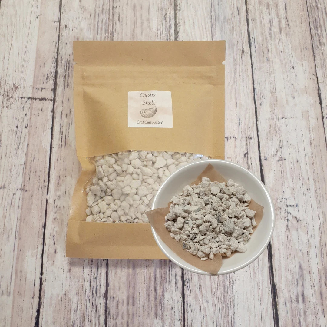 Oyster Shell - Hermit Crab Food - Calcium - Crabcuisineco - Etsy | Etsy (US)