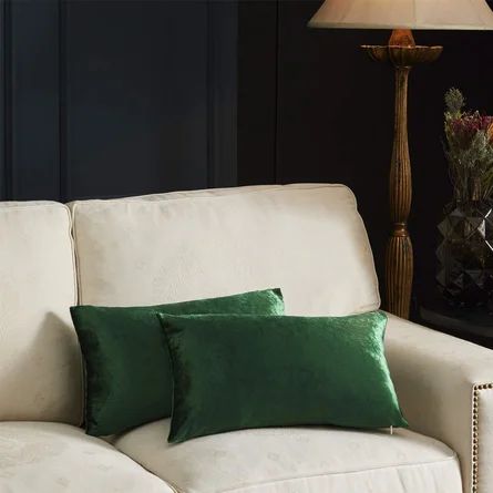 Everly Quinn Small Lumbar Pillow Covers, Decorative Cushion Covers Velvet Pillow Covers, Sofa Thr... | Wayfair North America