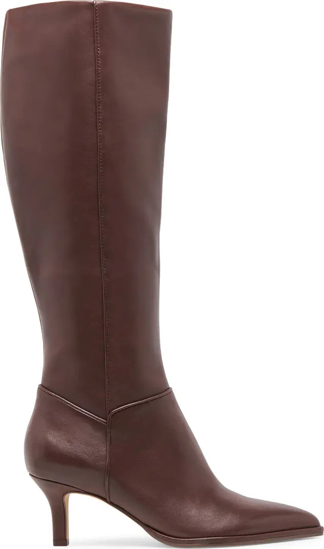 Dolce Vita Aldy Pointed Toe Knee High Boot (Women) | Nordstrom | Nordstrom