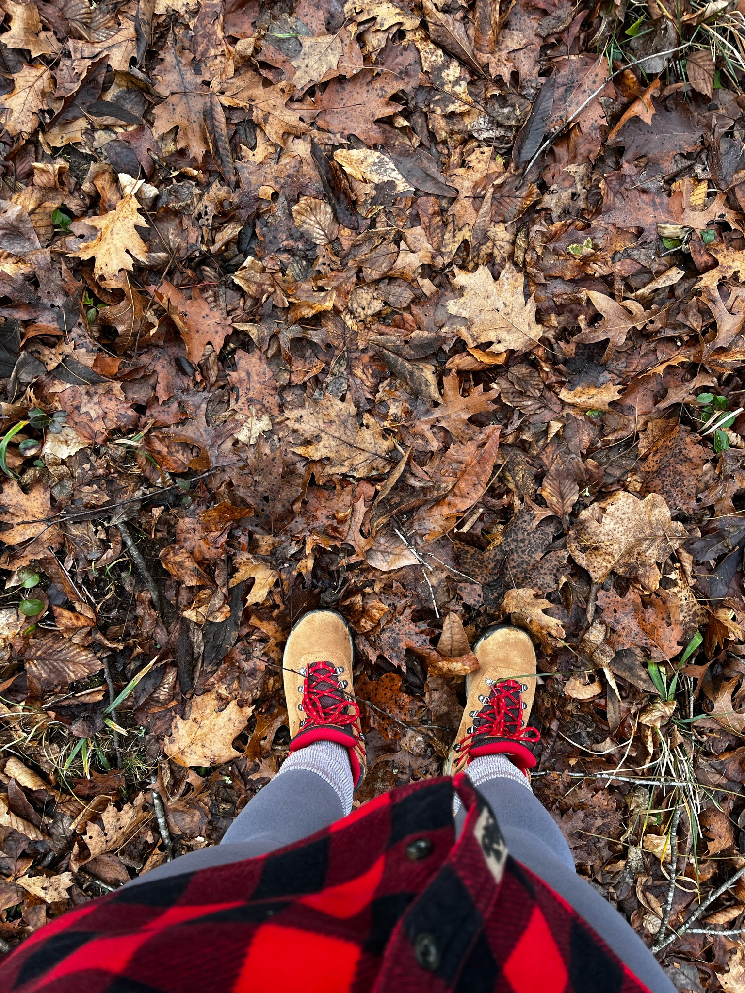Fall is here! Get you hiking boots on and head out to enjoy some nature🍂

#LTKshoecrush #LTKSeasonal #LTKGiftGuide