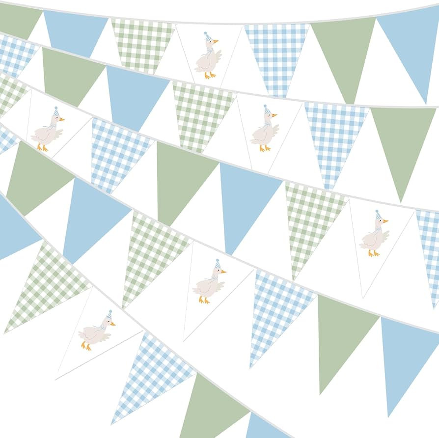 Pasimy 5 Pcs One Silly Goose Birthday Party Decorations Blue Green Gingham Print Pennant Banners ... | Amazon (US)