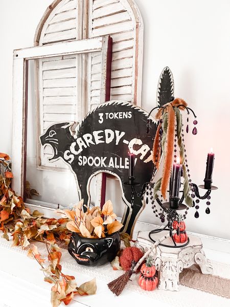 Cutest black cat on the block! Her signs are amazing 🐈‍⬛

#LTKHalloween #LTKstyletip #LTKhome