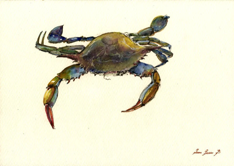 PRINT-Blue Crab print watercolor painting art wall  sea seafood fish crab beach  - Art Print by J... | Etsy (US)