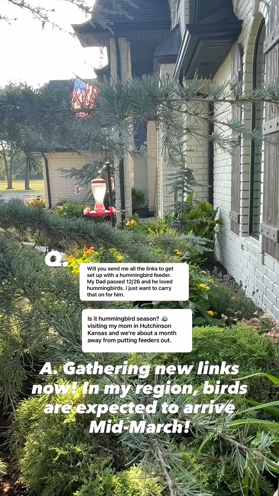 I mix one cup of sugar to 4 cups heated water and stir until it dissolves. Allow to cool throughly. I replace water and wash feeders every 3-4 days. I put feeders out mid-March to first of April. 
During migration, I fill feeders daily #LTKSpringSale 

Comment SHOP below to receive a DM with the link to this post on my LTK ⬇ https://liketk.it/5Ymmr #ltkhome #ltkseasonal