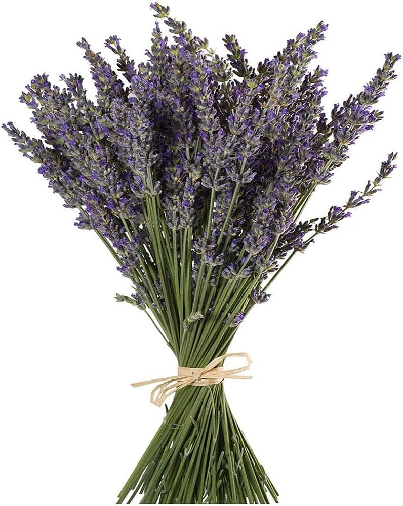 TooGet Natural Lavender Bundles, Freshly Harvested 400+ Stems Dried Lavender Bunch 16" - 18" Long... | Amazon (US)