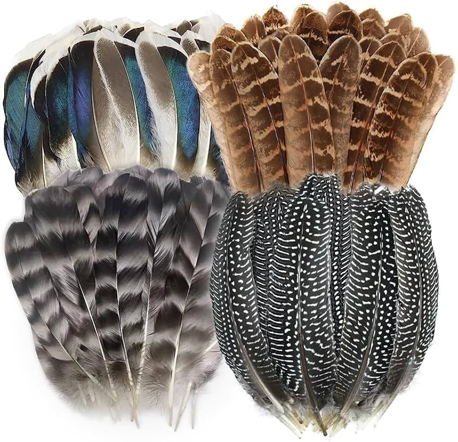 40pcs Natural Pheasant Feathers, Spotted Feathers, Turkey Feathers, 4 Styles Feathers for Crafts ... | Amazon (US)