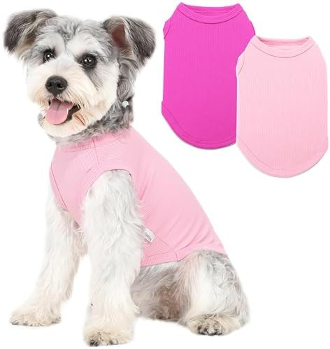 2 Pack Dog Clothes for Small Dogs Summer Dog Shirt Vest Girl Boy Lightweight Puppy T-Shirts Blank... | Amazon (US)