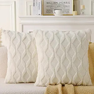 Amazon.com: WHATWEARS Decorative Throw Pillow with Inserts, Set of 2 Soft Faux Fur Throw Pillows,... | Amazon (US)
