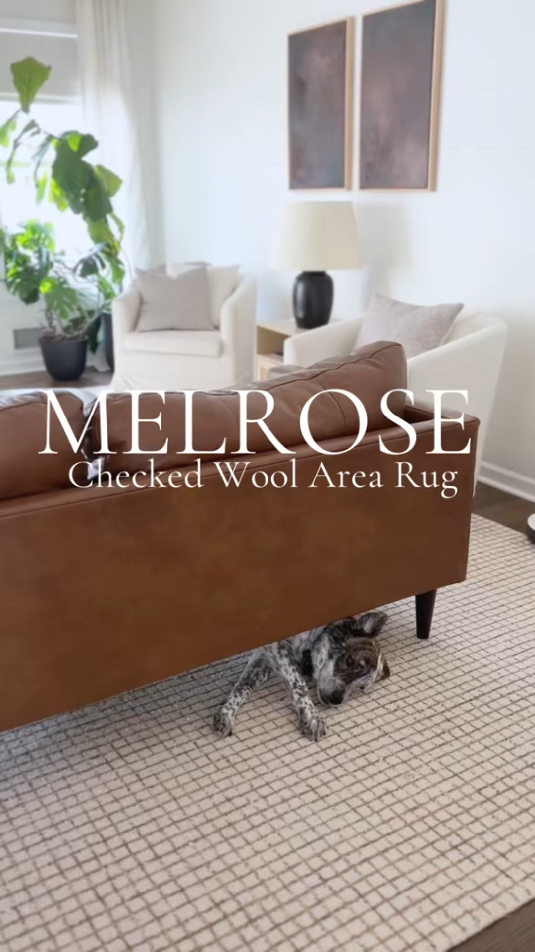 Our favorite wool rug! 

#LTKFamily #LTKOver40 #LTKHome