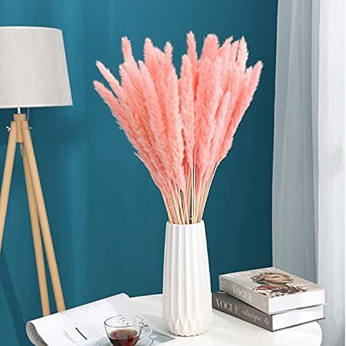 LANVEI Natural Dried Pampas Grass Pompous Grass Boho Decor for Home Pompass Grass Branches Pink Flow | Amazon (US)