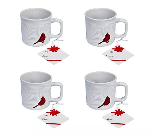 Temp-tations Set of (4) 18-oz Mugs with Hang Tags | QVC