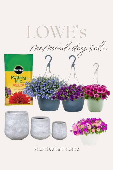 #AD
#LowesPartner
@LowesHomeImprovement Memorial Day sale is here!  
These annuals are so pretty and on sale for the holiday!

Shop greenery, tools, patio sets, lawn care and more! 

#LTKSeasonal #LTKhome