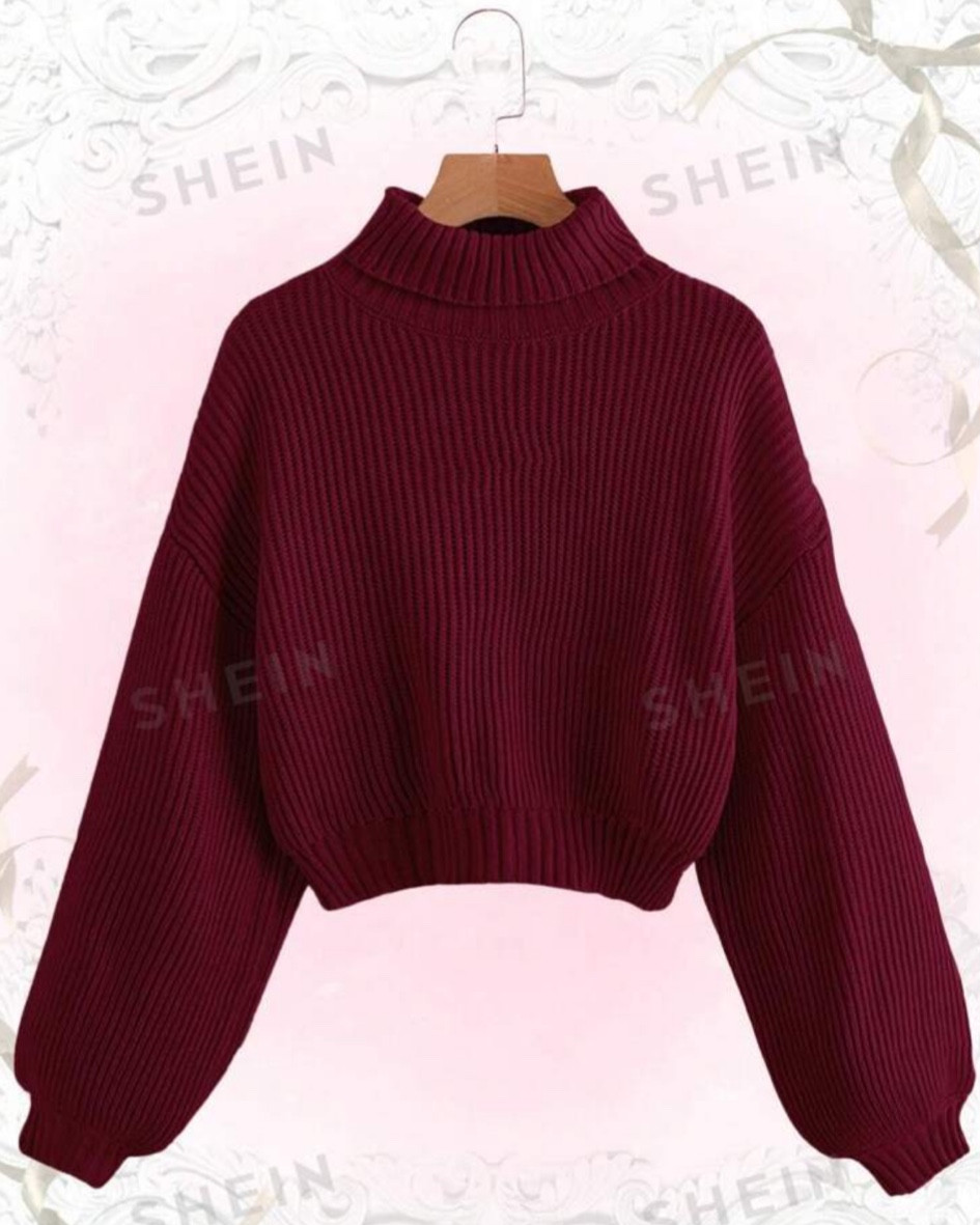 Burgundy Turtle Neck Top

#LTKHoliday #LTKFindsUnder50 #LTKSeasonal