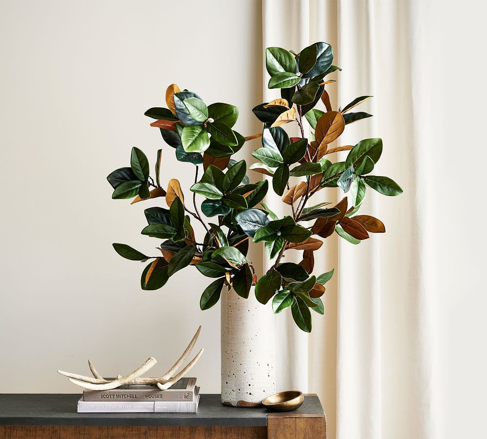 Magnolia Branch | Pottery Barn (US)