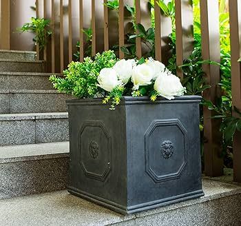 Kante Square Lion Head Concrete Planter, Classic English Style Plant Pot with Drainage Hole and R... | Amazon (US)