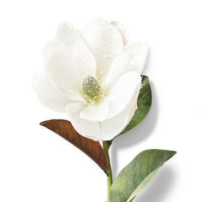 Snowy Magnolia Stems, Set of Six | Frontgate
