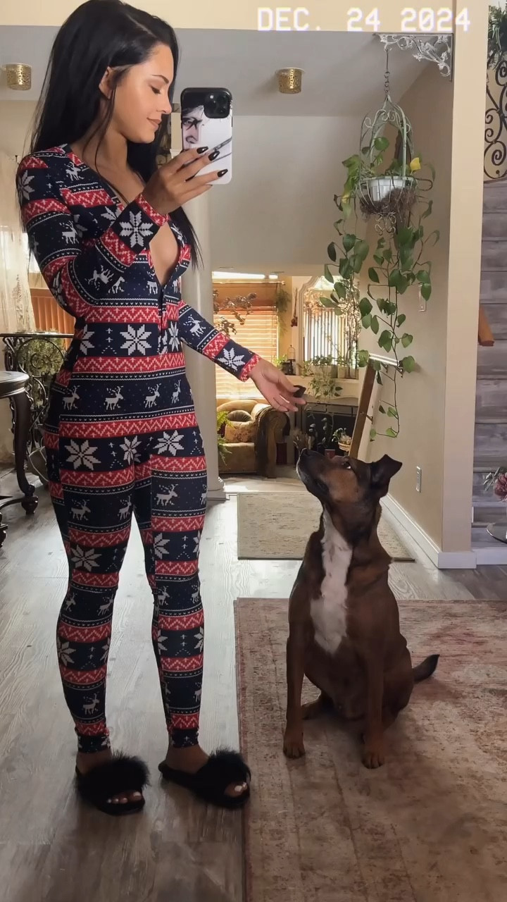Christmas Eve morning with Sergeant. 🐾
