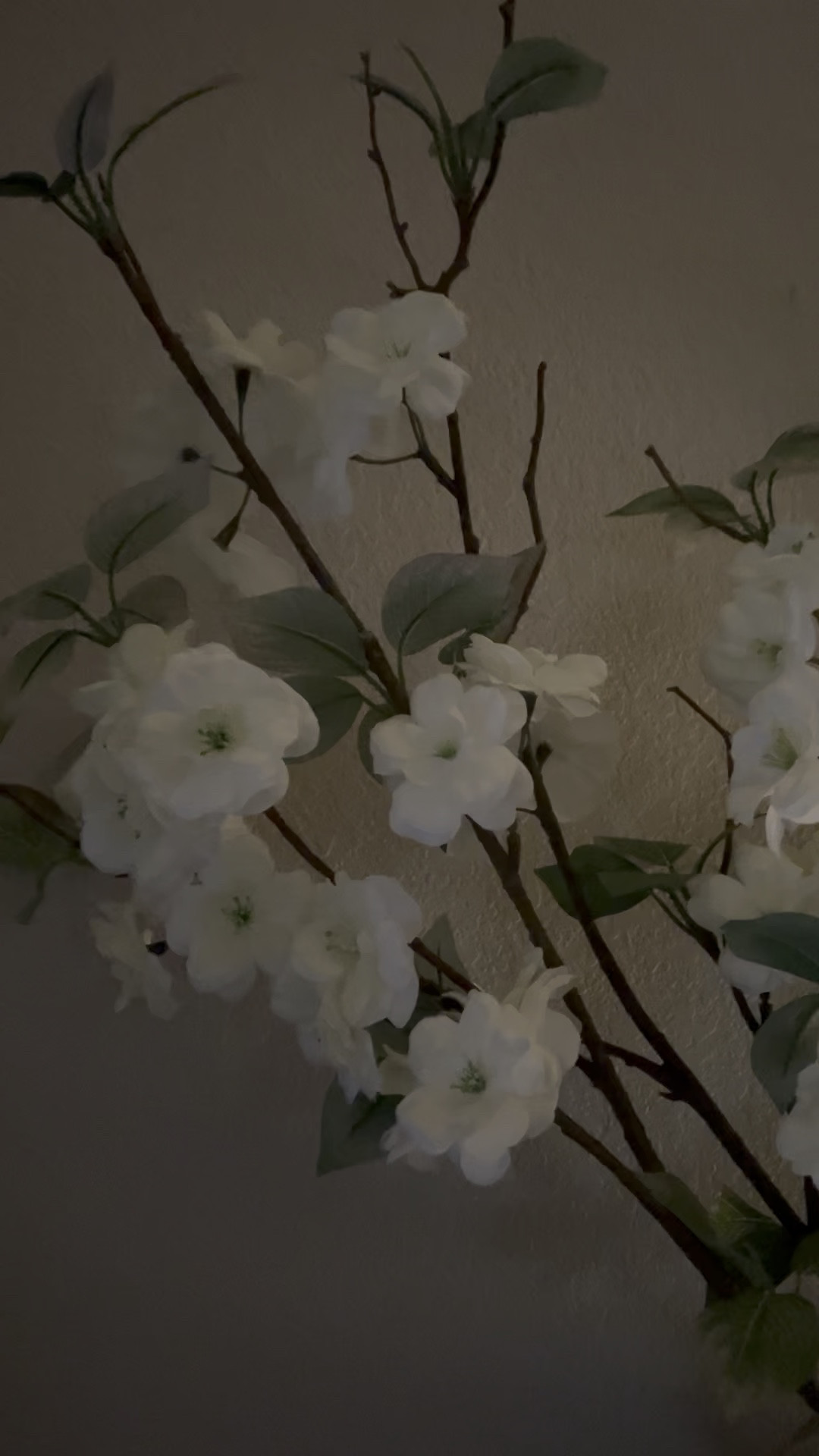 $4.99 Stems

#LTKSeasonal #LTKHome