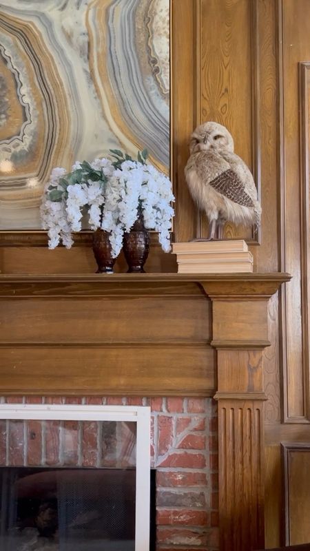 Summer Mantel Decor

I created my own faux hydrangea arrangements for my family room.  I used large concrete urns and put one on my mantel and another on a side table.  

This mantel features one of my faux hydrangea arrangements, a couple of faux wisteria stems, and my owl.  This might be my favorite mantel set up ever.

More details on my blog at www.MomCanDoAnything.com.

#LTKhome #LTKSeasonal #LTKstyletip