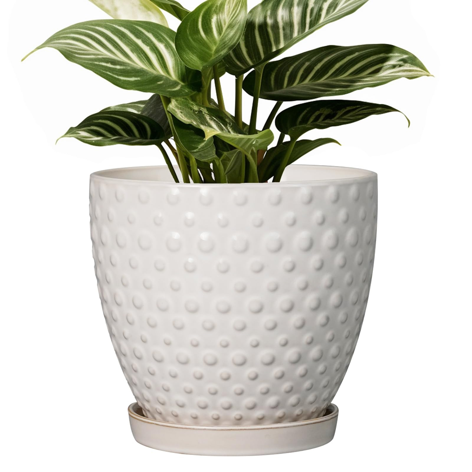 G EPGardening 6 Inch Ceramic Plant Pot with Drainage Hole and Saucer Round Planter Decorative Flo... | Amazon (US)