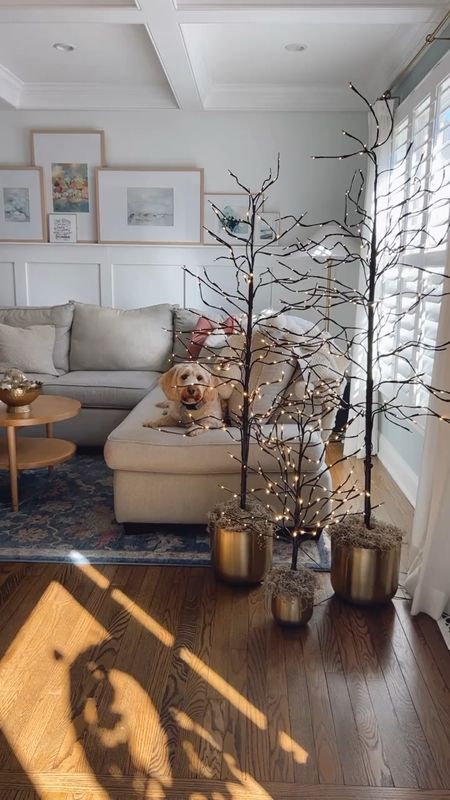 Love the viral twinkle trees from Amazon!!
Placing them in these gold planter pots from Target using Craftfom cake forms to stabilize and topping with preserved moss!

Holiday decor, prelit birch trees, Amazon twinkle trees, gold planter, artificial moss, preserved moss. Holiday tree, holiday natural decor, oval coffee table, Nathan James light wood coffee table with rattan shelf.
#amazon #holiday #target


#LTKhome #LTKSeasonal #LTKHoliday