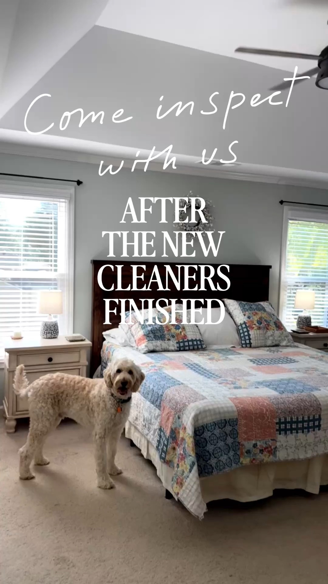 The AFTER ✨

I tried a new-to-me customizable cleaning service through Homeaglow and this is exactly why I wanted to give it a shot. Instead of paying for a generic house cleaning, I was able to choose how much time I wanted and prioritize the things I actually needed help with.

She tackled both bedrooms and bathrooms, the living and dining rooms, entryway, windows and all the usual cleaning, but also handled some of those little jobs that somehow stay on my list forever. She even took down and rehung my shower curtain and carefully dusted all of the dinnerware in my dining room cabinet. 🙌

Everything feels fresh again, and having someone come in specifically to knock out the areas I wanted done made SO much more sense for me than committing to another regular cleaning schedule.

And yes, Charlie is already working diligently to undo the clean front door windows. 😂

You can customize your Homeaglow cleaning based on your home, your priorities and how much help you need. I linked everything here on LTK if you want to check it out!

#HomeaglowPartner #Homeaglow #HomeCleaning #CleanHome #HomeReset #homeaglow

#LTKdayinmylife #LTKmomlife #LTKHome