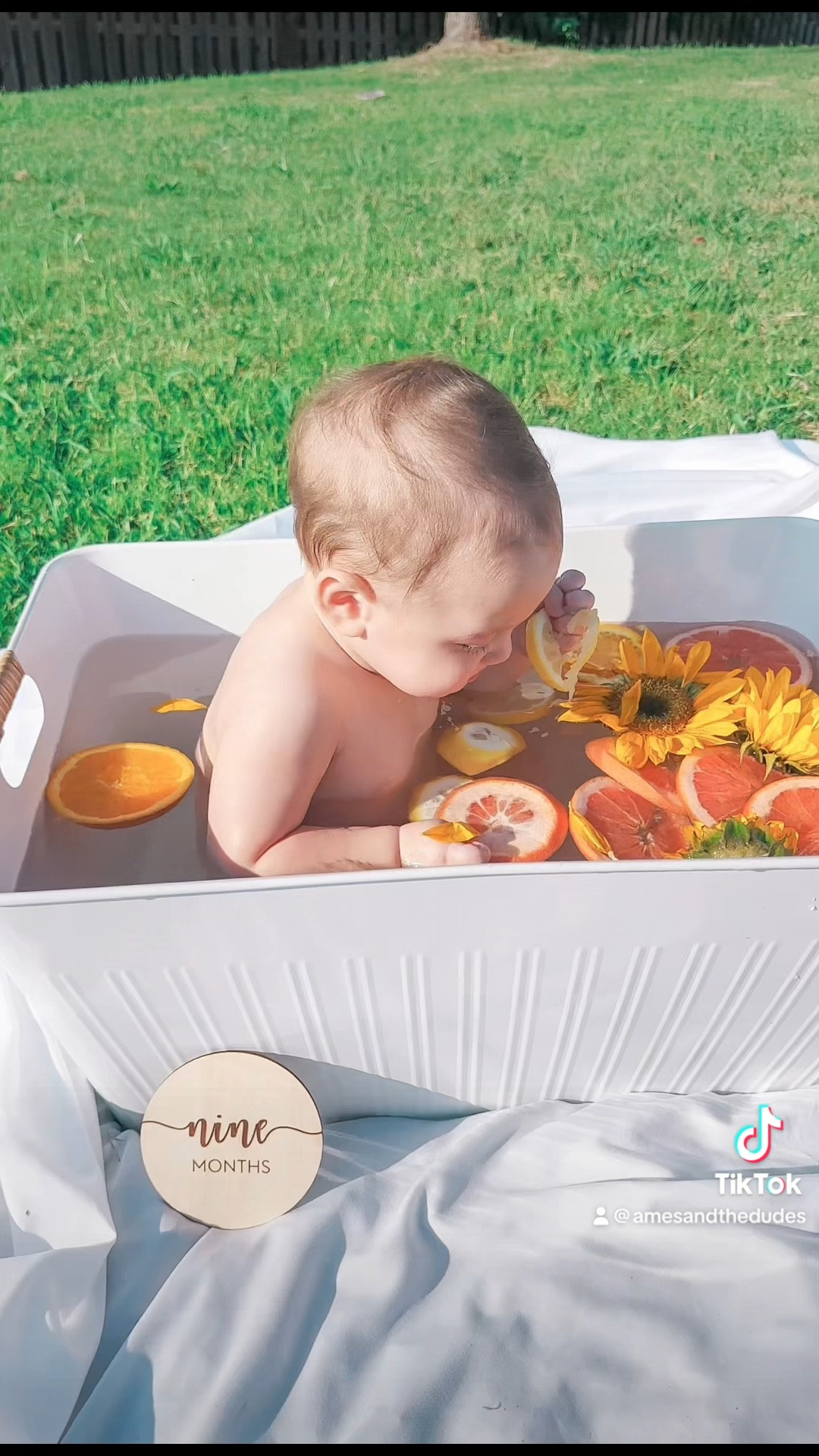 Milestone first year pictures 
Follow us on instagram & TT for monthly pic inspo. @amesandthedudes 


9 months old, baby boy, photo shoot inspo, milestone pictures, diy mom, motherhood, Walmart finds  

#LTKbaby #LTKFind #LTKfamily