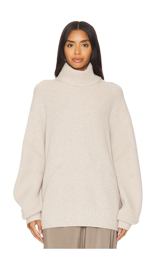 Helmut Lang Apex Chunky Turtleneck in Beige. Taglia S. Also in M, XS. | Revolve Clothing (Global)