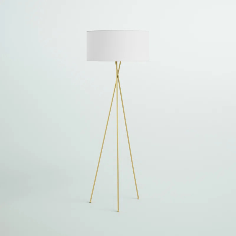 Barfield 66" Tripod Floor Lamp | Wayfair North America