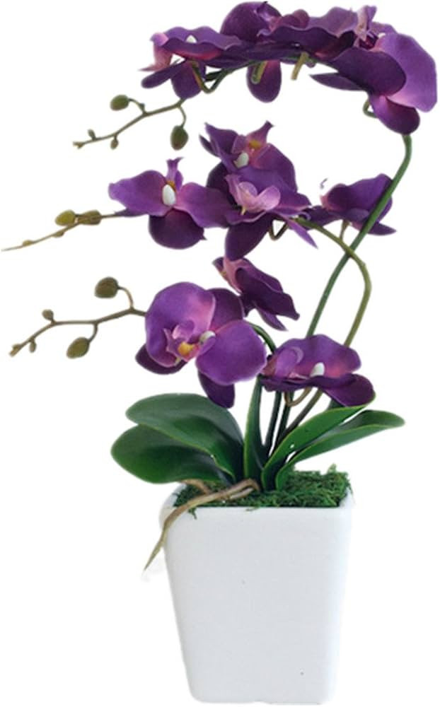 15" Tall Artificial Silk Phalaenopsis Orchid Flower Plant Pot Arrangements (Dark Purple) | Amazon (US)
