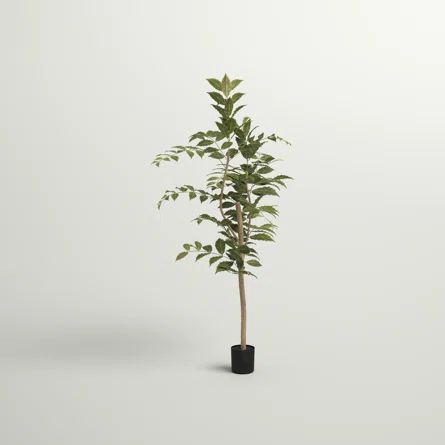 Three Posts™ Artificial  Foliage Tree in Pot | Wayfair | Wayfair North America