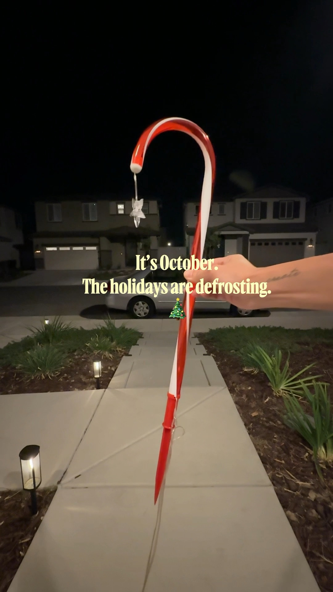 Never too early to start planning your holiday decor!

#LTKSeasonal #LTKHome