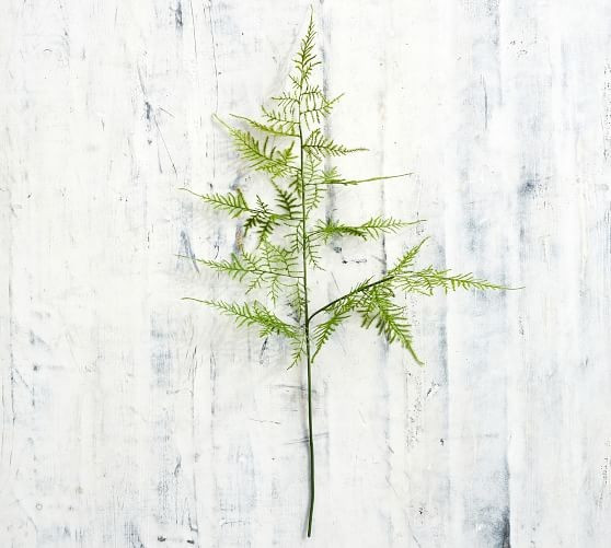 Faux Asparagus Fern Stem | Pottery Barn (US)