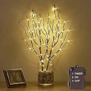 Hairui Twig Branches with Fairy LED Lights 18IN 70LED Battery Operated Lighted Brown Willow Branc... | Amazon (US)