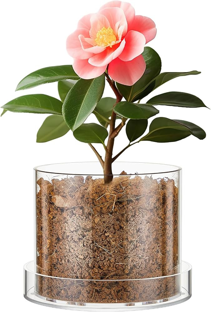 Clear Plant Pots Acrylic Nursery Pots with Drainage Holes and Tray Transparent Plant Pots Clear P... | Amazon (US)